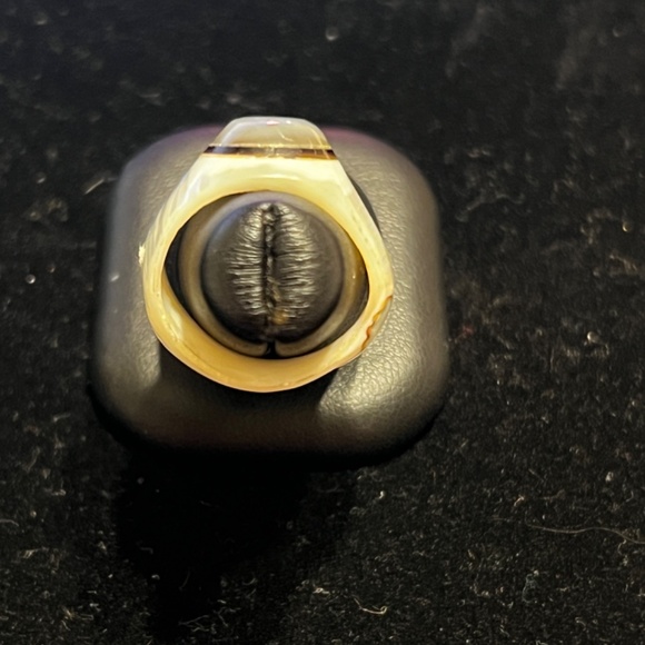 Vintage Hand Carved Shell Ring with Polished Stone Centerpiece - Picture 3 of 6